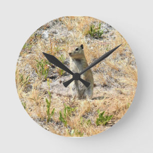 Prairie Dog in Yosemite, CA Runde Wanduhr