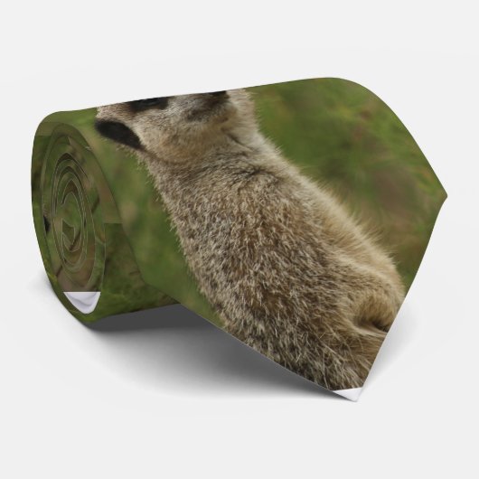 Prairie Dog Krawatte (Gerollt)