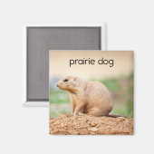 Prairie Dog Kühlschrank Magnet (Vorderseite/Rückseite)