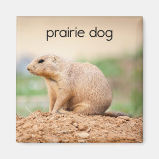 Prairie Dog Kühlschrank Magnet