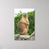 Prairie Dog Leinwanddruck (Vorderseite)