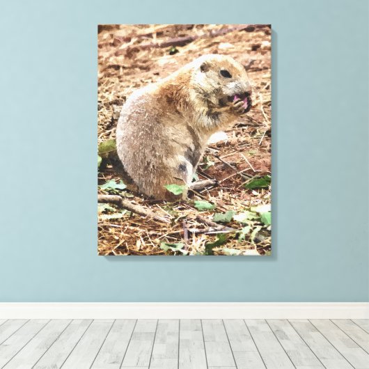 PRAIRIE DOG LEINWANDDRUCK (Insitu (Holzboden))