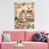 PRAIRIE DOG LEINWANDDRUCK (Insitu (Wohnzimmer))