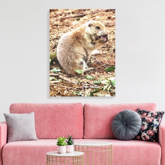 PRAIRIE DOG LEINWANDDRUCK (Insitu (Wohnzimmer))