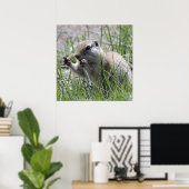 Prairie Dog Mittagspause Poster (Heimbüro)