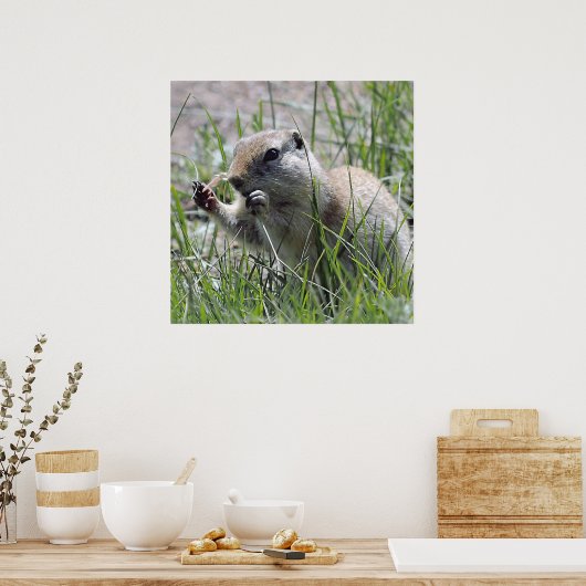 Prairie Dog Mittagspause Poster (Küche)