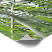 Prairie Dog Mittagspause Poster (Ecke)