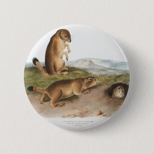 Prairie Dog oder Prairie-Camping Button (Vorderseite)