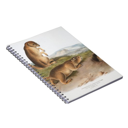 Prairie Dog oder Prairie-Camping Notizblock (Rechte Seite)