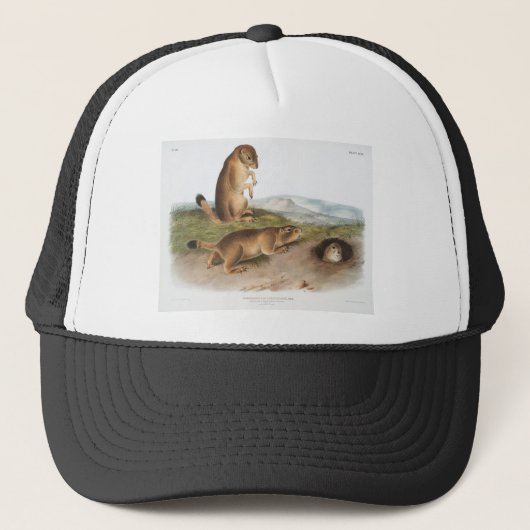 Prairie Dog oder Prairie-Camping Truckerkappe (Vorderseite)