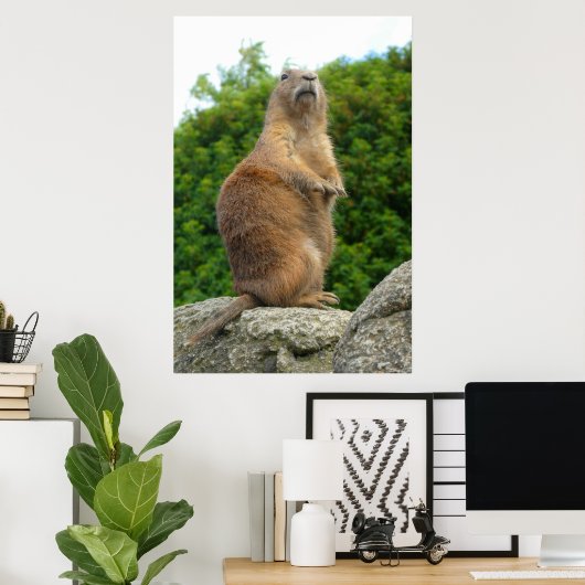 Prairie Dog Poster (Heimbüro)