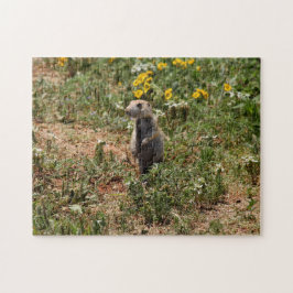 Prairie Dog Puzzle
