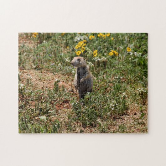 Prairie Dog Puzzle (Horizontal)