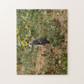 Prairie Dog Puzzle (Vertikal)