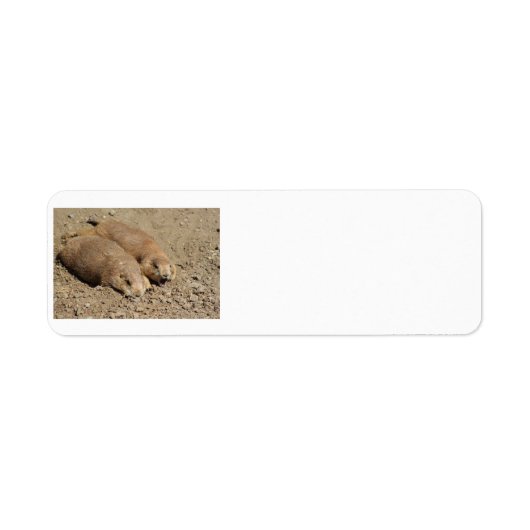 Prairie Dog Rückadresslabel (Vorne)