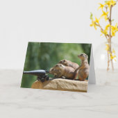Prairie Dog Soldiers Grußkarte Karte (Gelbe Blume)