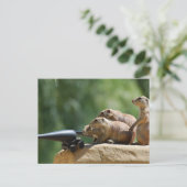 Prairie Dog Soldiers Postcard Postkarte (Stehend Vorderseite)