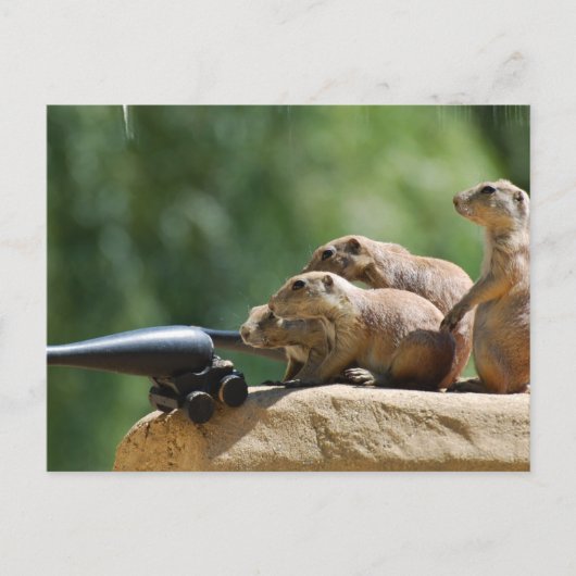 Prairie Dog Soldiers Postcard Postkarte (Vorderseite)
