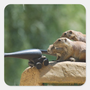 Prairie Dog Soldiers Stickers