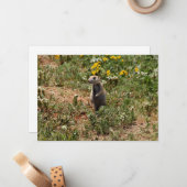 Prairie Dog Solo Mitteilungskarte (Vorderseite/Rückseite Beispiel)