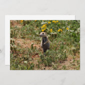 Prairie Dog Solo Mitteilungskarte (Vorne/Hinten)