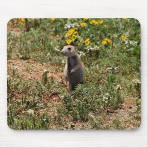 Prairie Dog Solo Mousepad