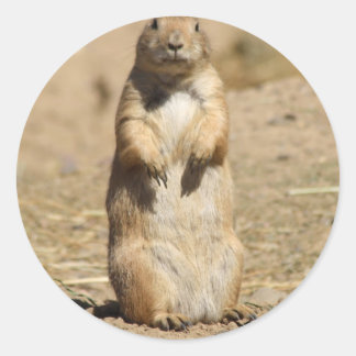 Prairie Dog Sticker