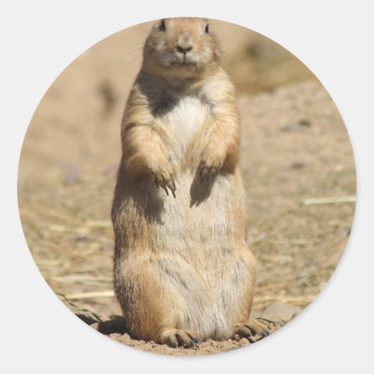 Prairie Dog Sticker (Vorderseite)