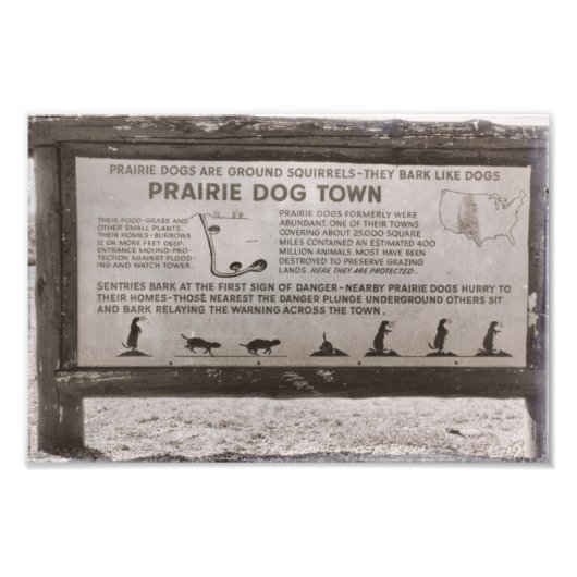 Prairie Dog Town South Dakota Wind Cave Retro Fotodruck (Vorne)