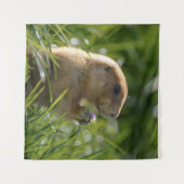 Prairie Dog und das Lila Blut Wandteppich (Vorderseite (Horizontal))