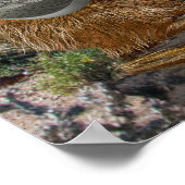 Prairie Dogs Band Poster (Ecke)