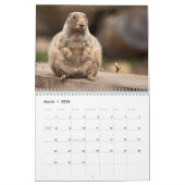 Prairie Dogs Calendar Kalender (Mär 2026)