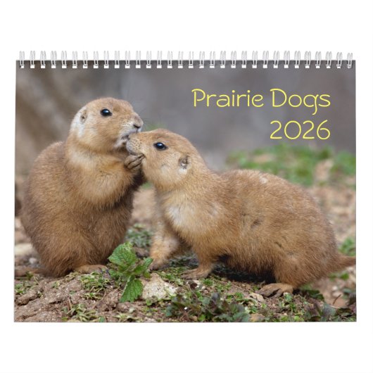 Prairie Dogs Calendar Kalender (Titelbild)