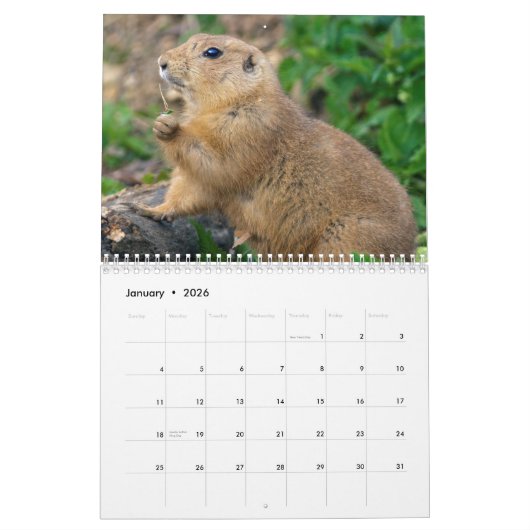 Prairie Dogs Calendar Kalender (Jan 2026)