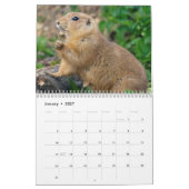 Prairie Dogs Calendar Kalender (Jan 2027)