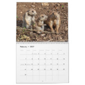 Prairie Dogs Calendar Kalender (Feb 2027)
