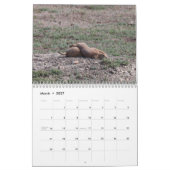 Prairie Dogs Kalender (Mär 2027)
