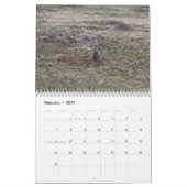 Prairie Dogs Kalender (Feb 2027)