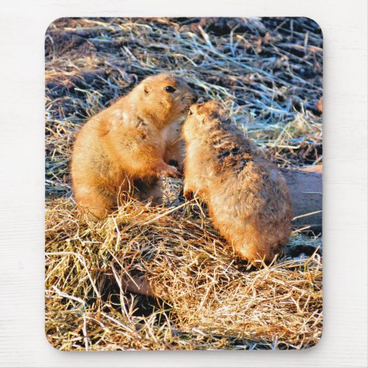 PRAIRIE DOGS MOUSEPAD (Vorne)
