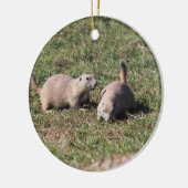 Prairie Dogs Playing in Badlands National Park, SD Keramik Ornament (Links)
