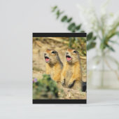 Prairie Dogs singen Postkarte (Stehend Vorderseite)