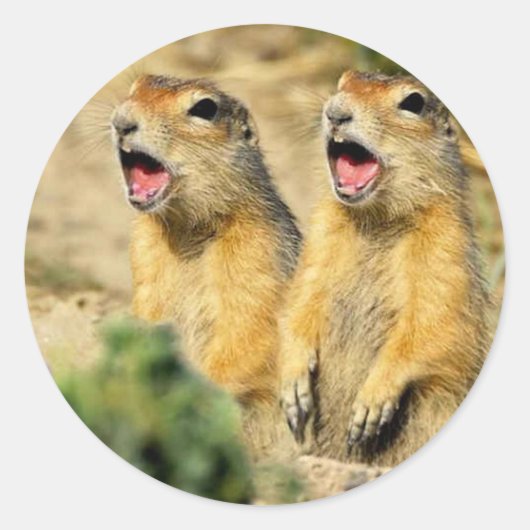 Prairie Dogs singen Runder Aufkleber (Vorderseite)
