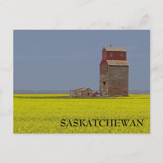 Prairie Elevator Landscape Postcard Postkarte (Vorderseite)