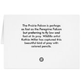 Prairie Falcon (Rückseite Horizontal)