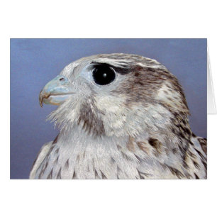 Prairie Falcon Karte