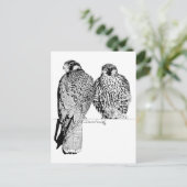 Prairie Falcons Postkarte (Stehend Vorderseite)