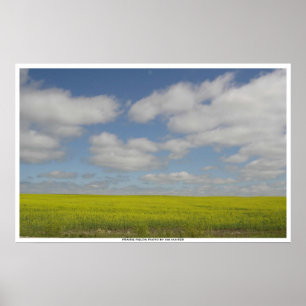 Prairie Fields Druck Manitoba Landschaftsdrucke Poster