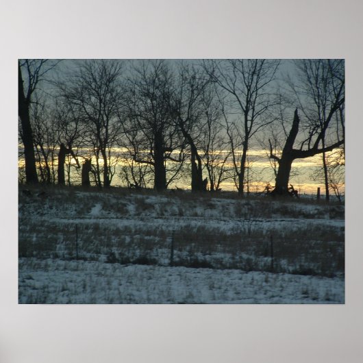 Prairie Gold Poster (Vorne)