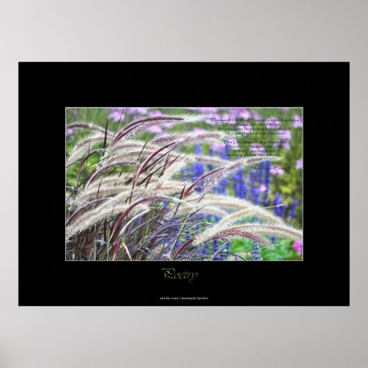 Prairie Grasses & Poem Nature Art Poster (Vorne)