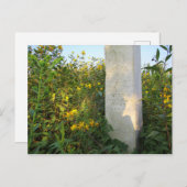 Prairie Gravestones, Bigelow Friedhof, Ohio Postkarte (Vorne/Hinten)